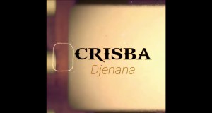 Djenana Muziki wa video