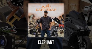 Elephant Muzicki video