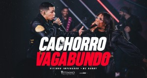 Cachorro Vagabundo Videyo Mizik