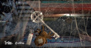 Dona Aranha Kanema wanyimbo