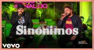 Sinônimos Muziki wa video