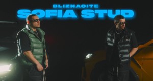 Sofia Stud Fidio Orin