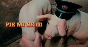 Pie Mi Se Iii Videoclip