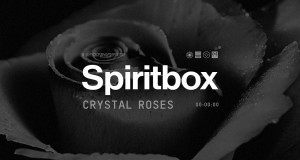Crystal Roses Hudobné video