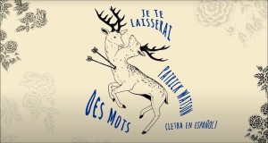 Je Te Laisserai Des Mots Музичне відео
