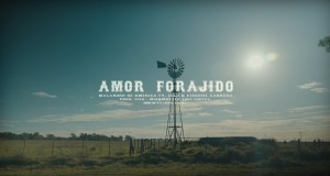Amor Forajido