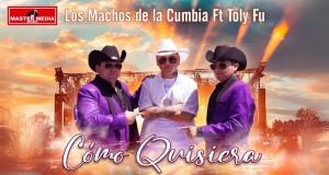Como Quisiera