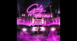 Gata Fina Music Video