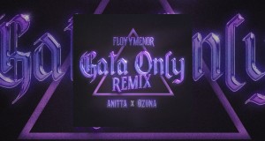 Gata Only Remix