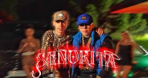 Señorita Music Video