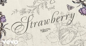Strawberry Music Video