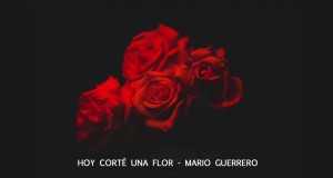 Hoy Corté Una Flor