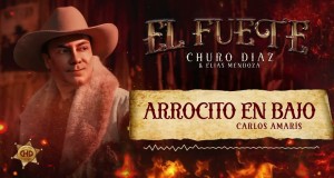Arrocito En Bajo