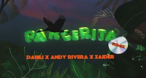 Parcerita Remix Musik-Video