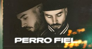 Perro Fiel Video muzikore