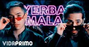 Yerba Mala Music Video