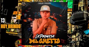 Hoy Brindo
