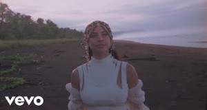 Luciérnagas