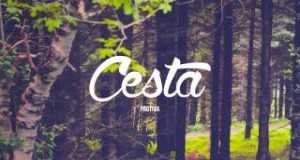 Cesta Muziki wa video