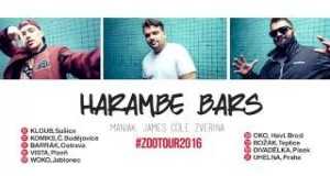Harambe Bars Bidiyon Kiɗa