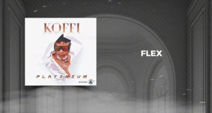 Flex Musiek video