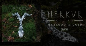 My Blood Is Gold Musiqa video