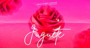 Juguete Teledysk