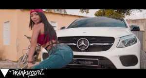 Damelo (Remix) Video musical