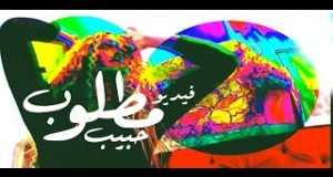 Matlob Habib Fidio Orin