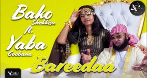 Bareeda Mele Mele