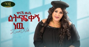Letnafekegn New