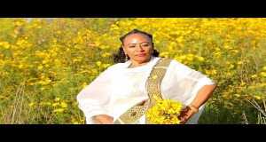 Addis Amet