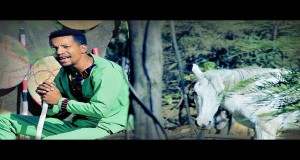Shakimalle Glasbeni video