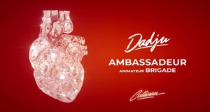 Ambassadeur