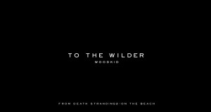 To The Wilder