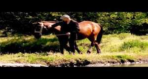 Show Me The Heart Of The Love Doors Musik Video
