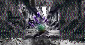 Lavendel Музыкалық бейне