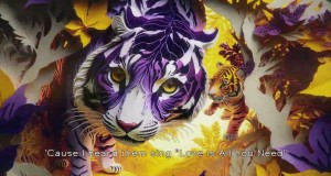 Purple Tiger Videyo Mizik