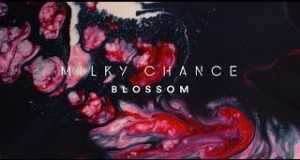 Blossom