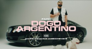 Dogo Argentino