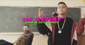 Star In Meiner Hood