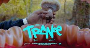 Trance Videyo Mizik