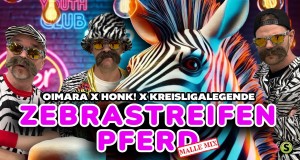 Zebrastreifenpferd