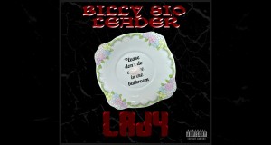 Lady Video Musik