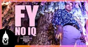 No Iq