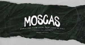 Moscas