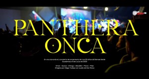 Panthera Onca