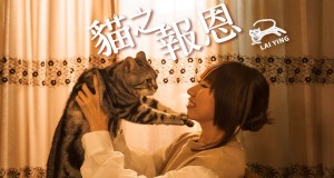 Cat's Repayment