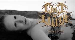 Purple Tide Music Video