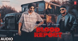Blood Report Musik-Video